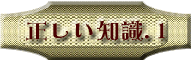 �����E�������Ȃ͋T�ˋ���